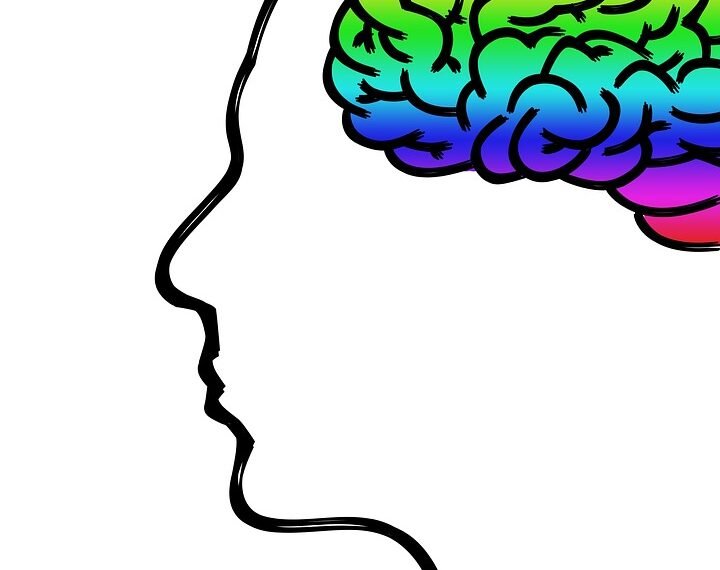 how the human brain processes information