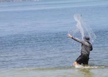 how casting decisions influence character portrayal