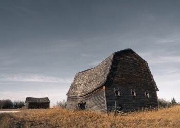 history of cinematic storytelling structures