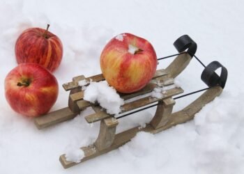 importance of handwashing in disease prevention