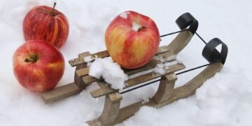 importance of handwashing in disease prevention