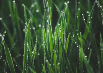 development of surround sound in movies