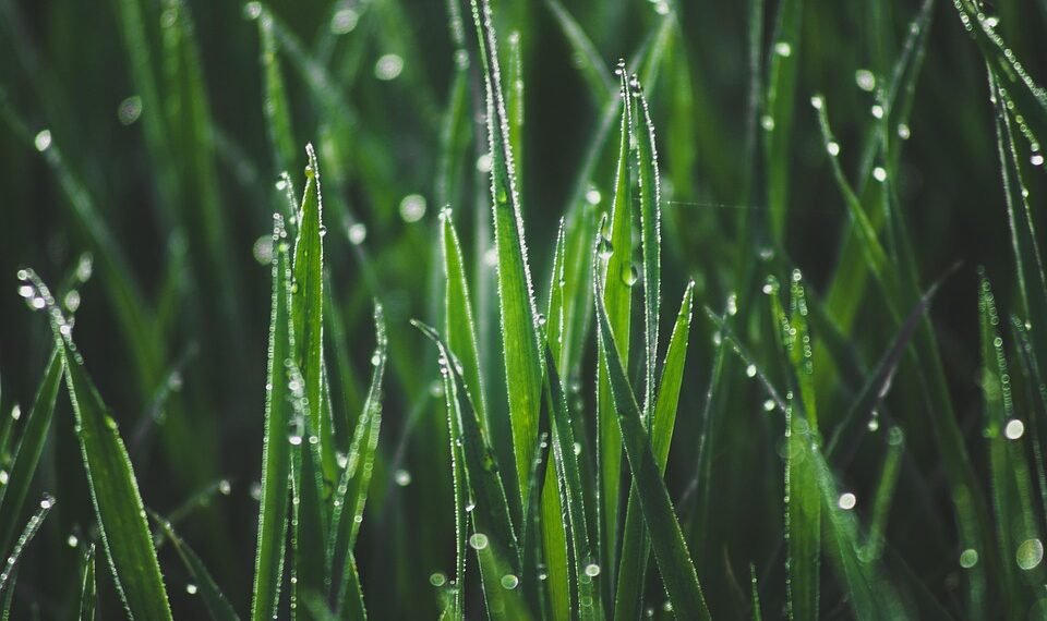 development of surround sound in movies