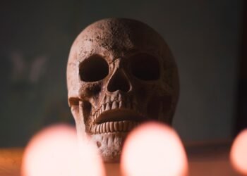 how muscles and bones work together