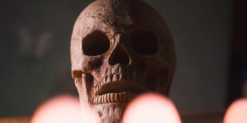 how muscles and bones work together