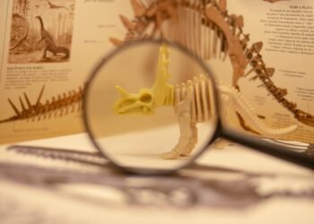 evolution of film criticism and reviewers