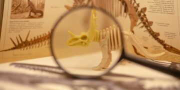 evolution of film criticism and reviewers