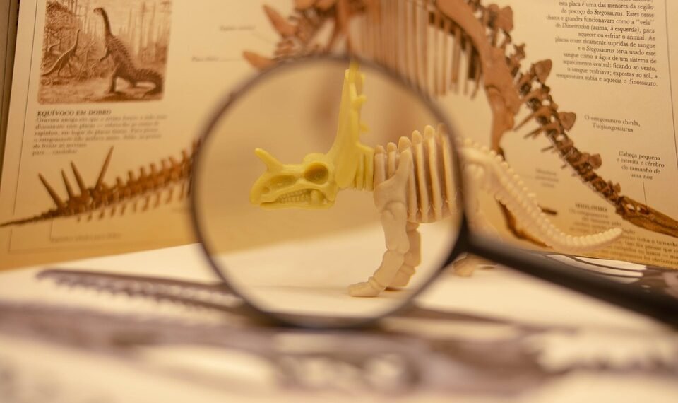 evolution of film criticism and reviewers