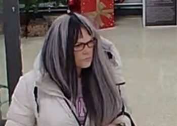 Hampshire Thief Banned from Wearing Wigs in Shops After Series of Thefts