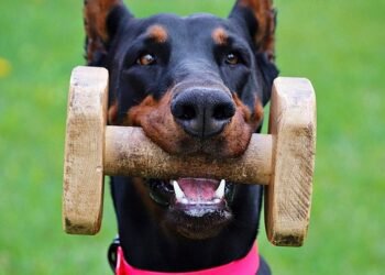 alfred hitchcock contributions to cinema