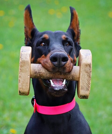 alfred hitchcock contributions to cinema