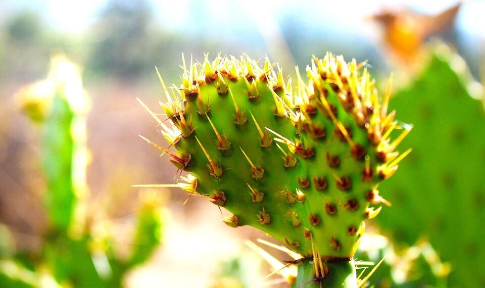 cinematic impact of true story adaptations