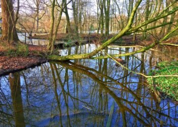 how horror films evolved across decades