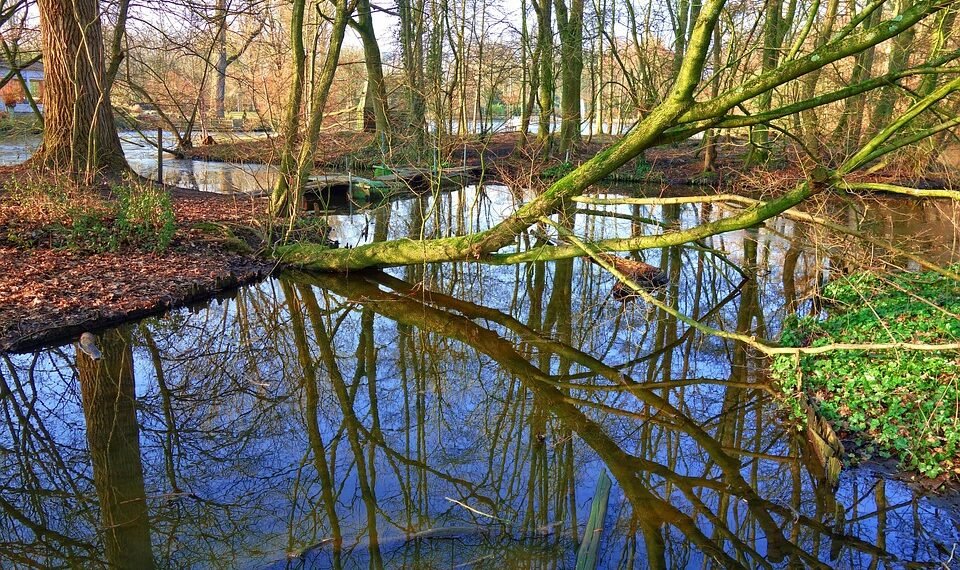 how horror films evolved across decades