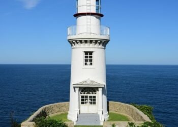 how the cardiovascular system functions