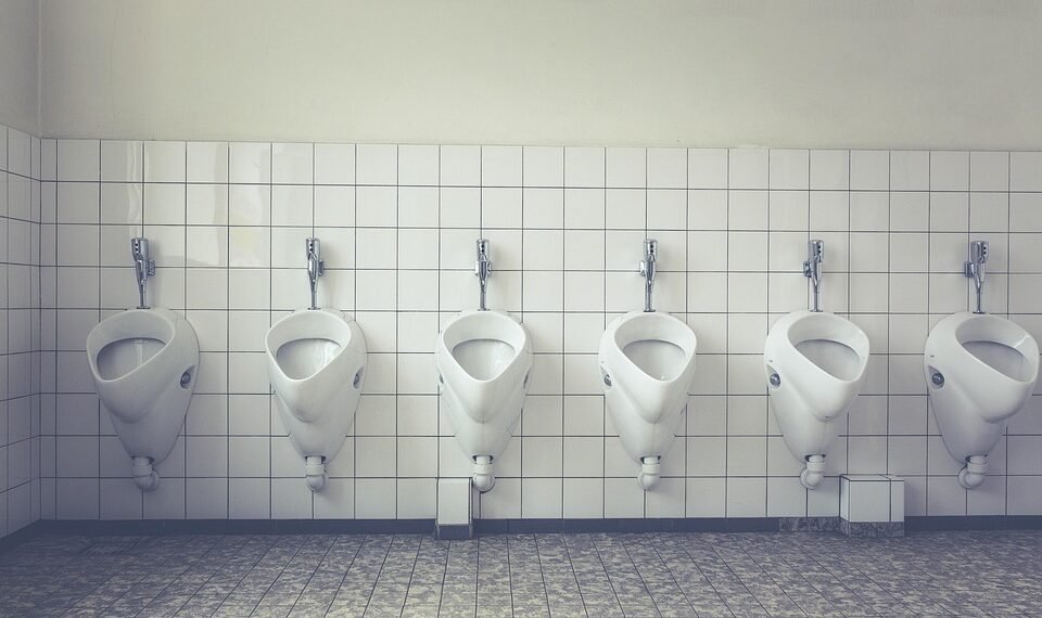 how documentaries influence public perception