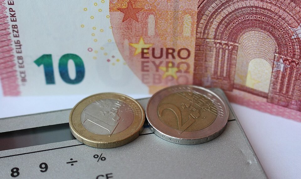 how the cardiovascular system functions