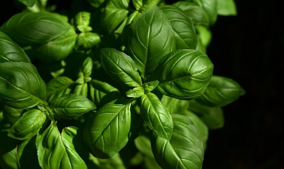 how italian westerns changed the genre