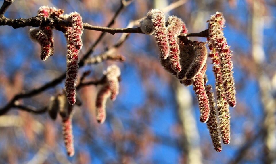 basics of human kidney function