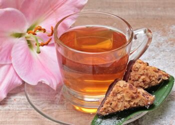 how the immune system protects the body