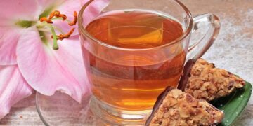 how the immune system protects the body