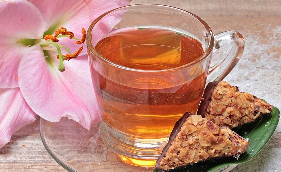 how the immune system protects the body