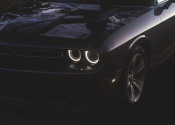 how muscles and bones work together