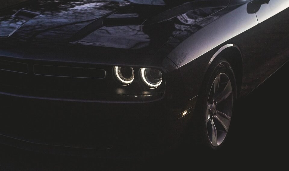 how muscles and bones work together