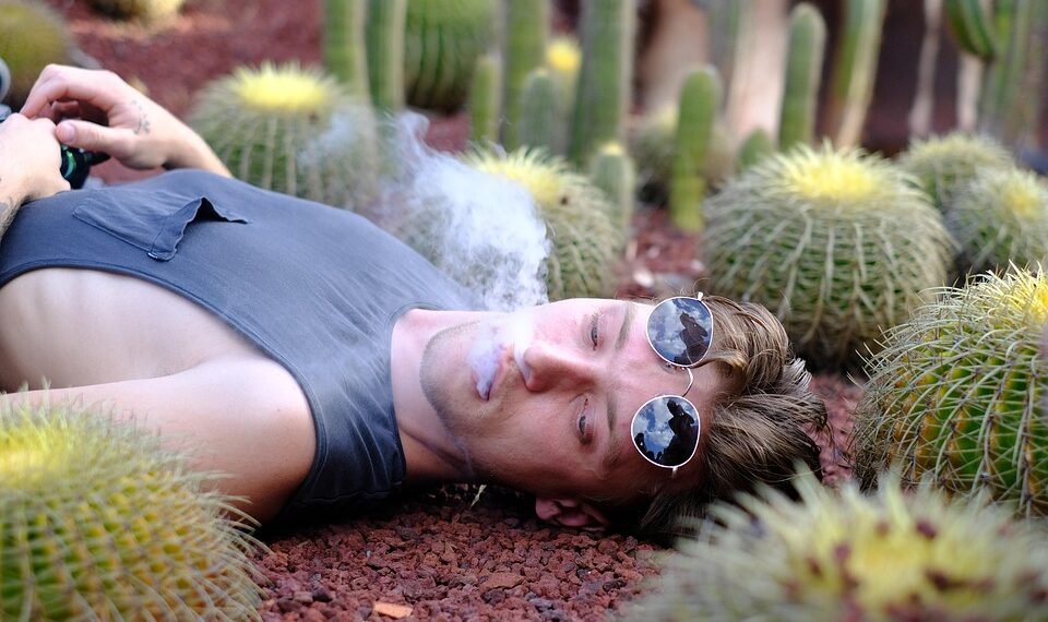 effects of smoking on human health