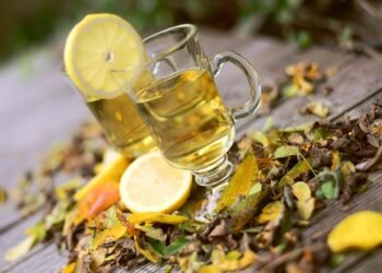 how the immune system protects the body