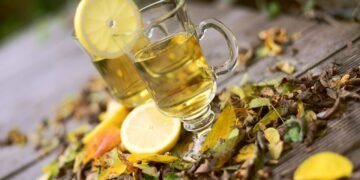 how the immune system protects the body