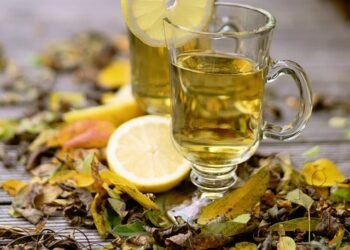 how the immune system protects the body