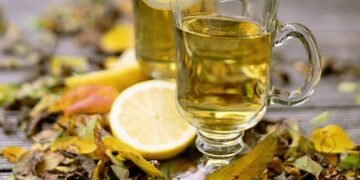 how the immune system protects the body