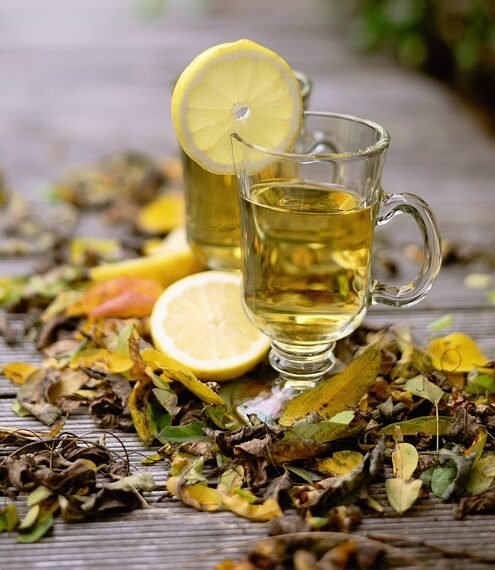 how the immune system protects the body