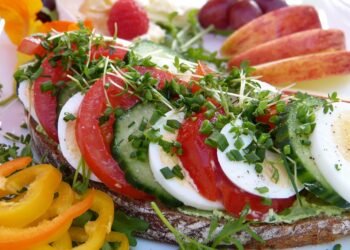 how the immune system protects the body