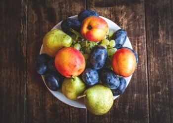 how vaccines support immunity