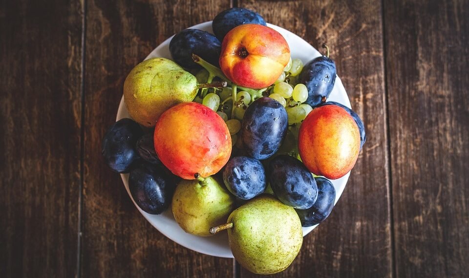 how vaccines support immunity