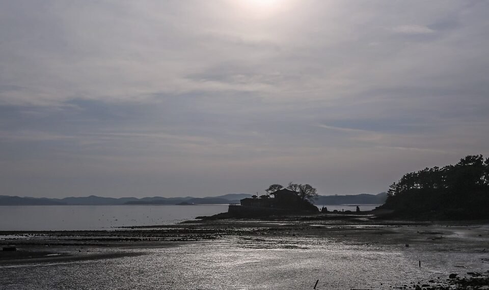 difference between viruses and bacteria