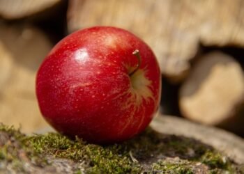 common vitamins and their roles in the body