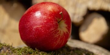 common vitamins and their roles in the body