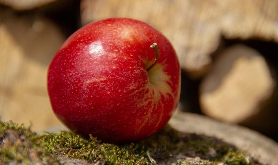 common vitamins and their roles in the body