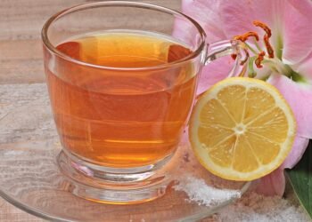 how the immune system protects the body