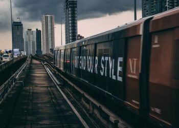 how the cardiovascular system functions