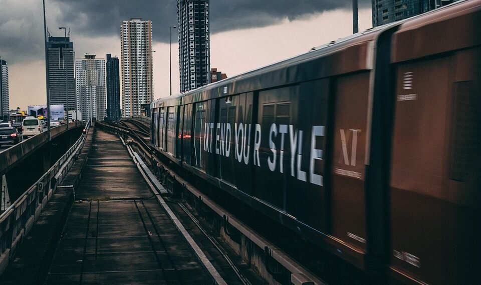 how the cardiovascular system functions