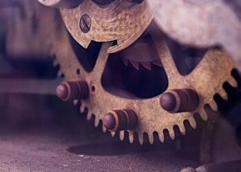 how the cardiovascular system functions