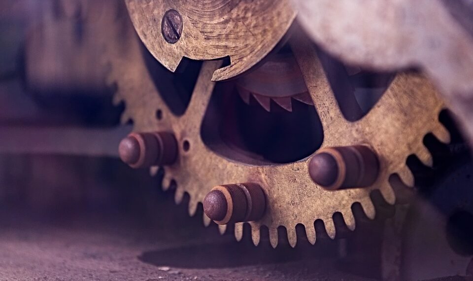 how the cardiovascular system functions