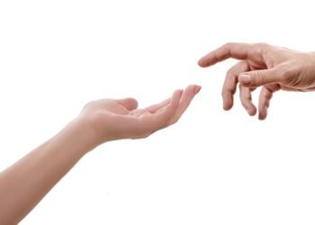 introduction to human digestive system