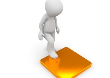 how the cardiovascular system functions