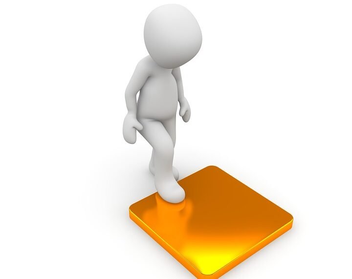 how the cardiovascular system functions