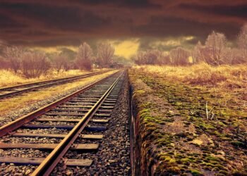 how the cardiovascular system functions